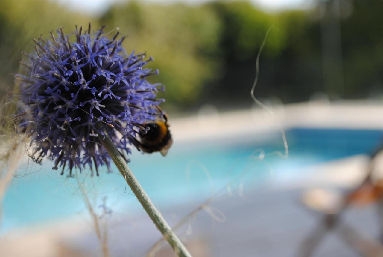Bessé-sur-Braye Eco-Gite - Domaine De La Gavolerie מראה חיצוני תמונה